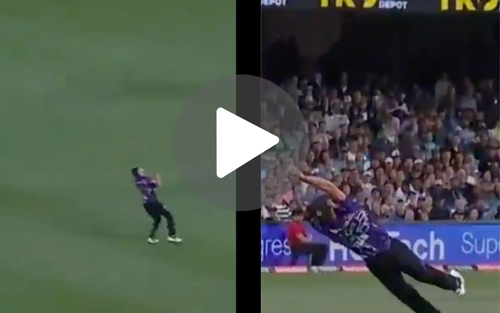 Best Catch In The History! CSK Blood Nathan Ellis Takes Superhuman Catch In BBL